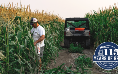 2,000 Acres of Determination: Schneiders