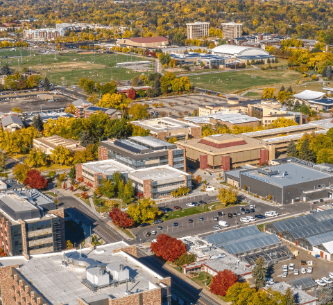 Fort Collins Skyline